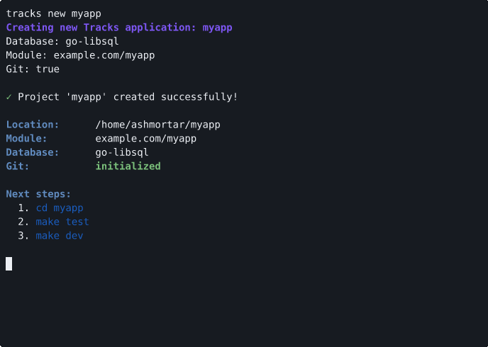 Terminal output showing successful project creation with project location, module name, database type, and git status, followed by next steps to cd into the project, run tests, and start development server